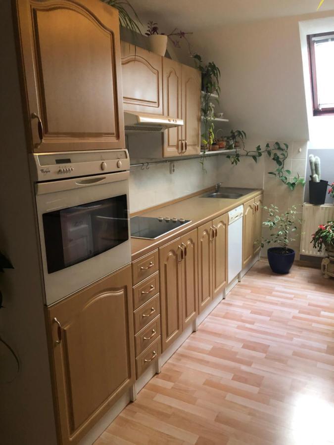 Apartman U Misi Διαμέρισμα Suchdol nad Luznici Εξωτερικό φωτογραφία